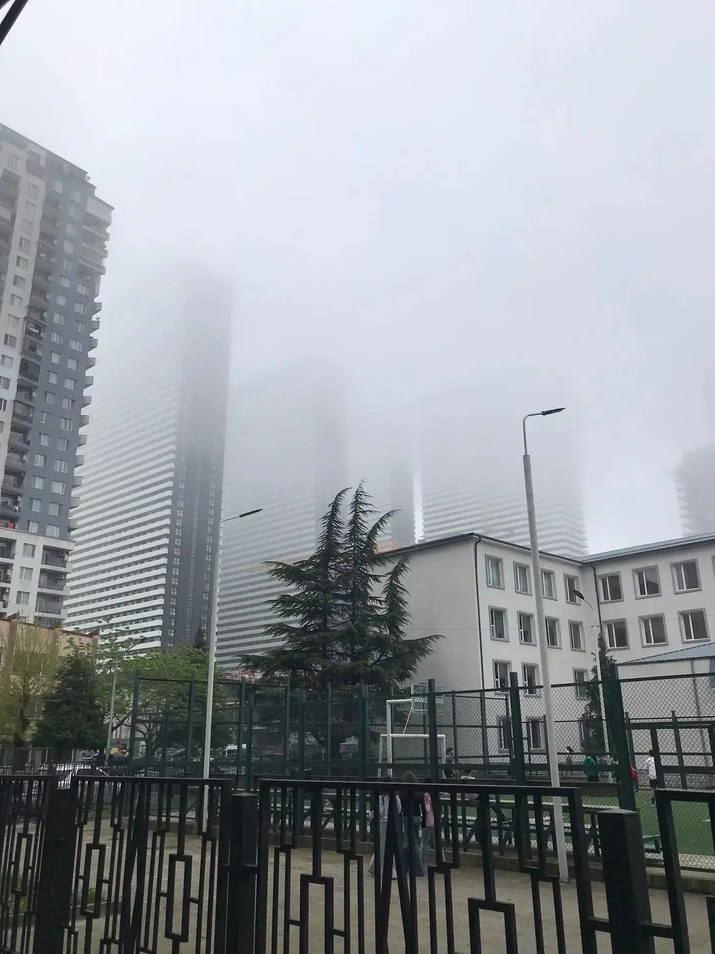 Городское гнездо